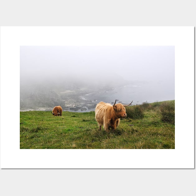 Highland cows on the misty coast of Islay, Scotland Wall Art by richflintphoto